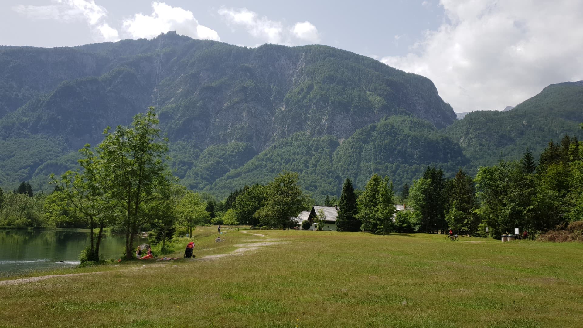 The shore of Bohinj lake